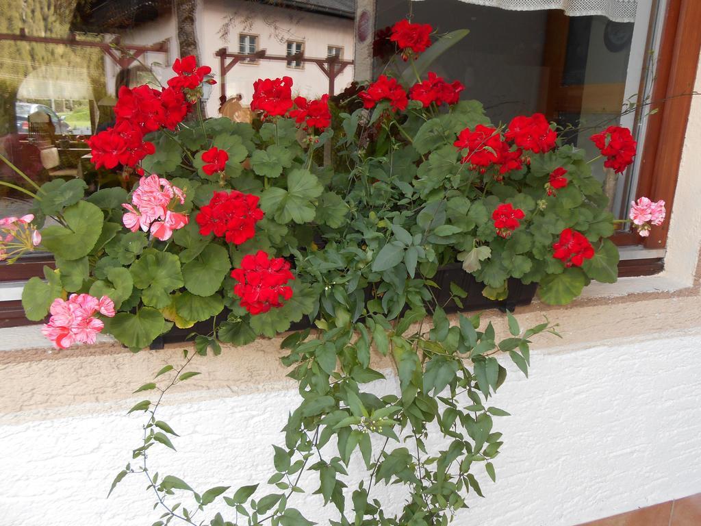 Gasthaus Traube Бихлбах Екстериор снимка